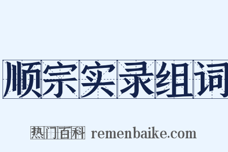 顺宗实录组词是什么意思的图片